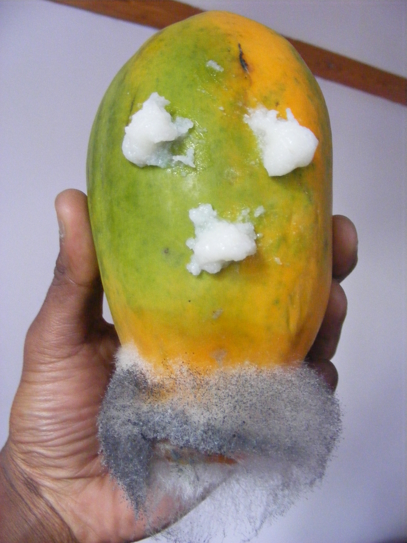 Papa Paw Paw