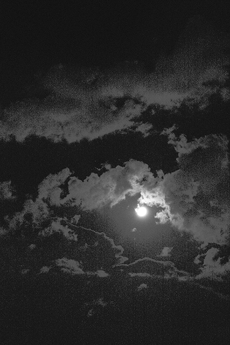 The Gloaming
